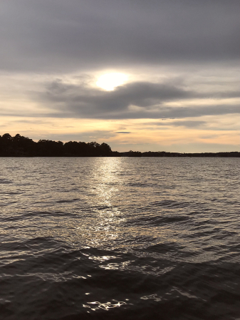 Gold Sunset on Lake Martin 