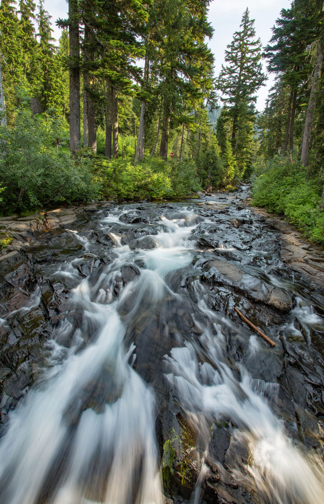 Heading Upstream