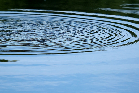 Ripples Never Come Back