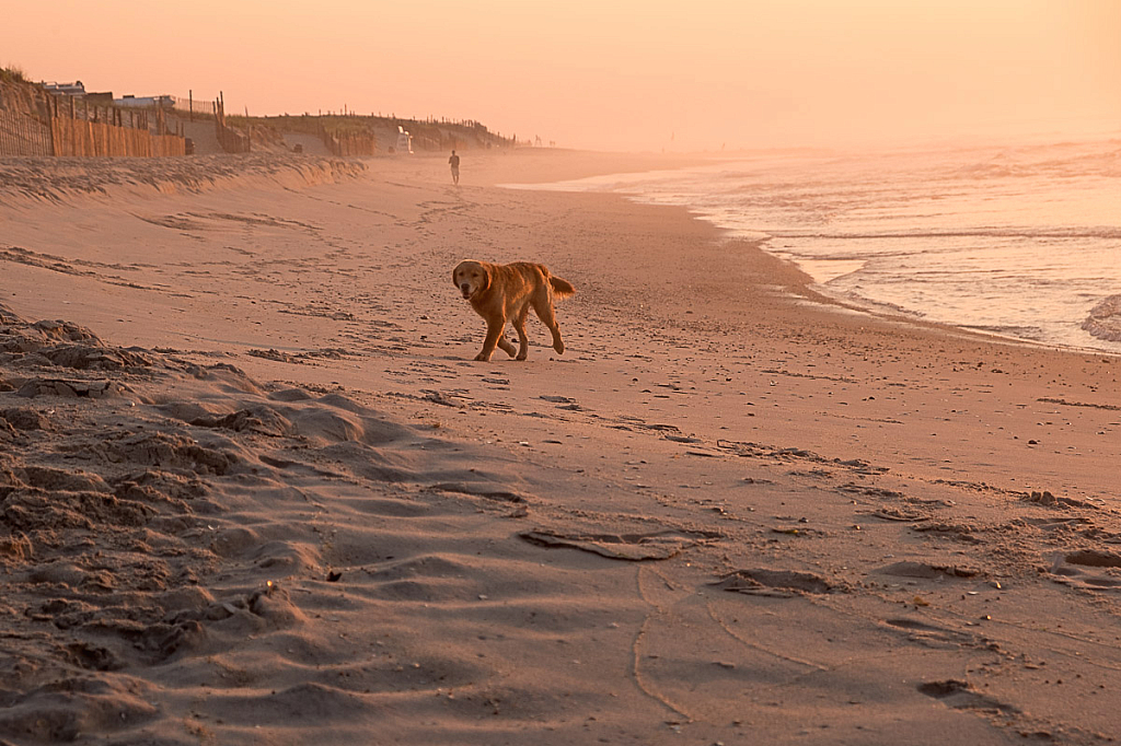 Just after sunrise 