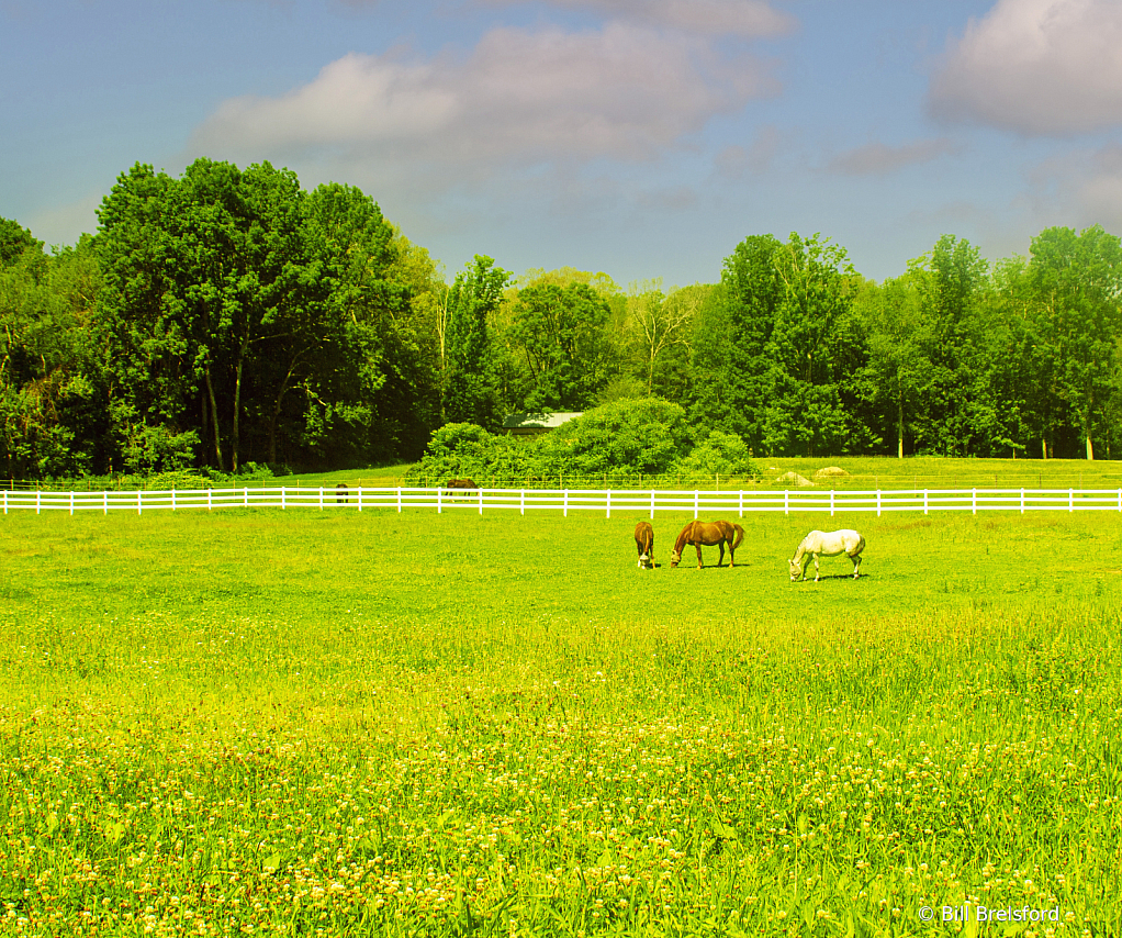 Grazing the Day Away