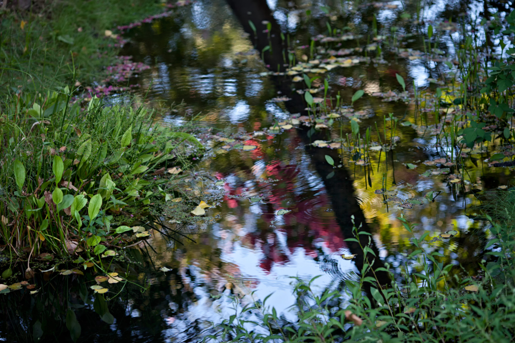 img4