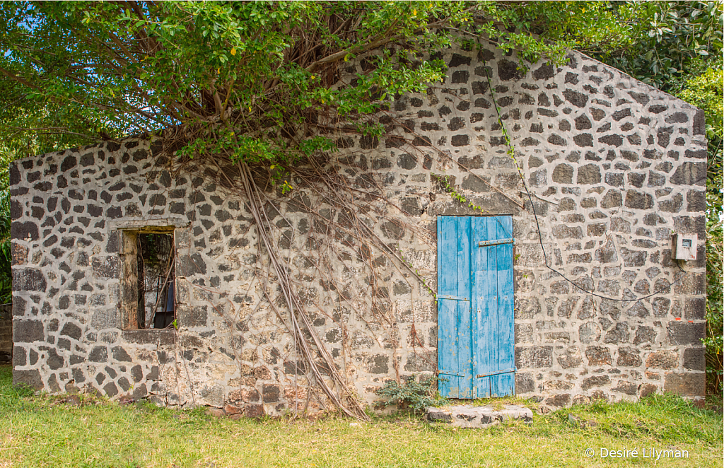 The stoned house