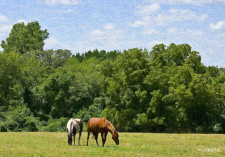 Sweet Grass Snack