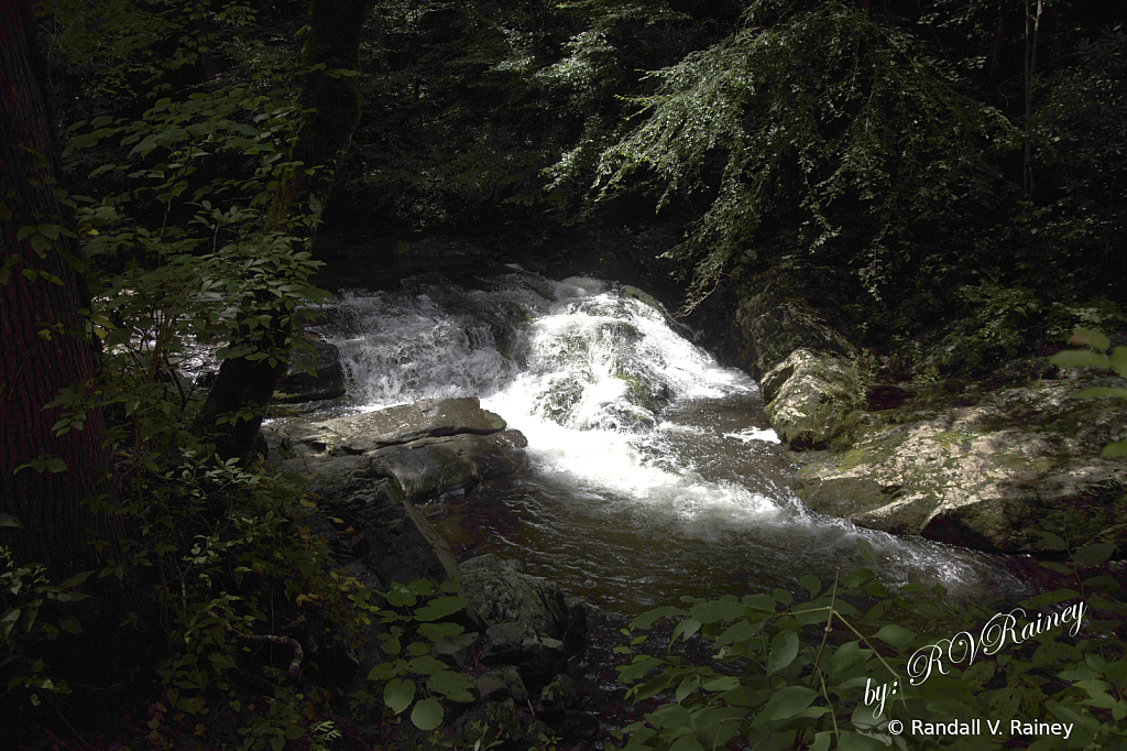 Dark Rapids among the trees...