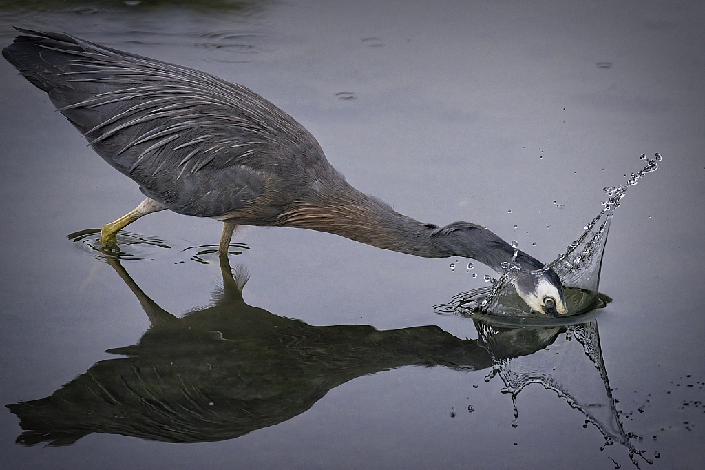 Breaking water