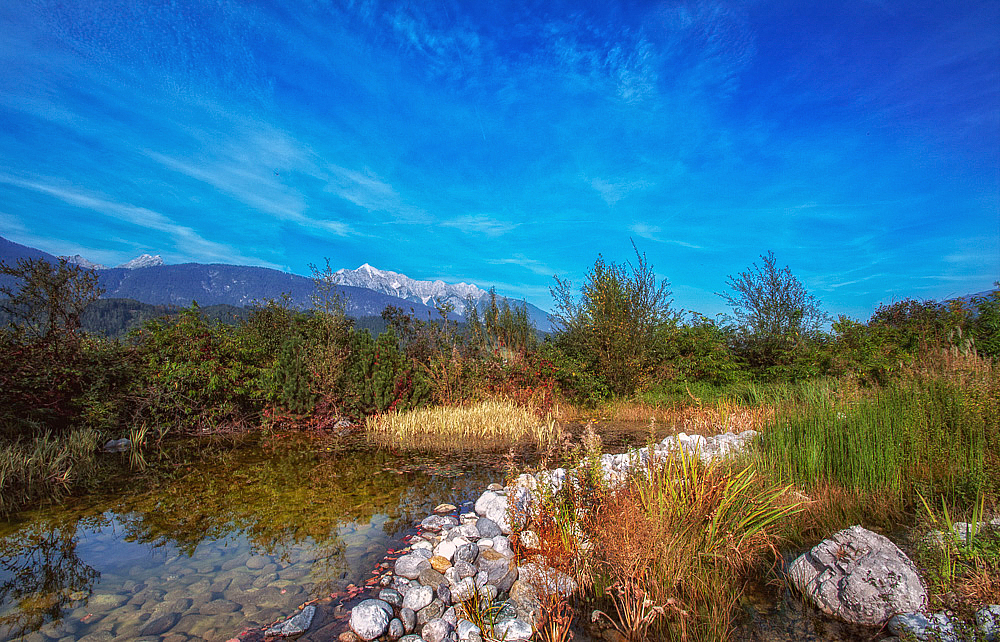 Little Pond on the Mountain