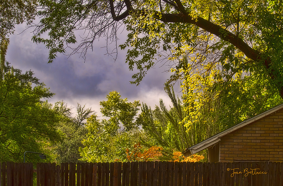 Day After the Storm