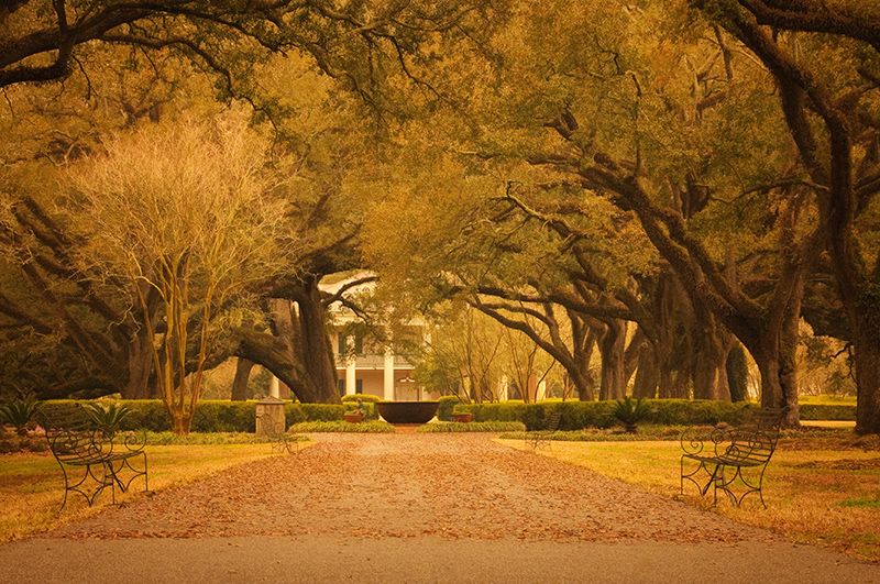 Oak Alley Plantation - Louisiana