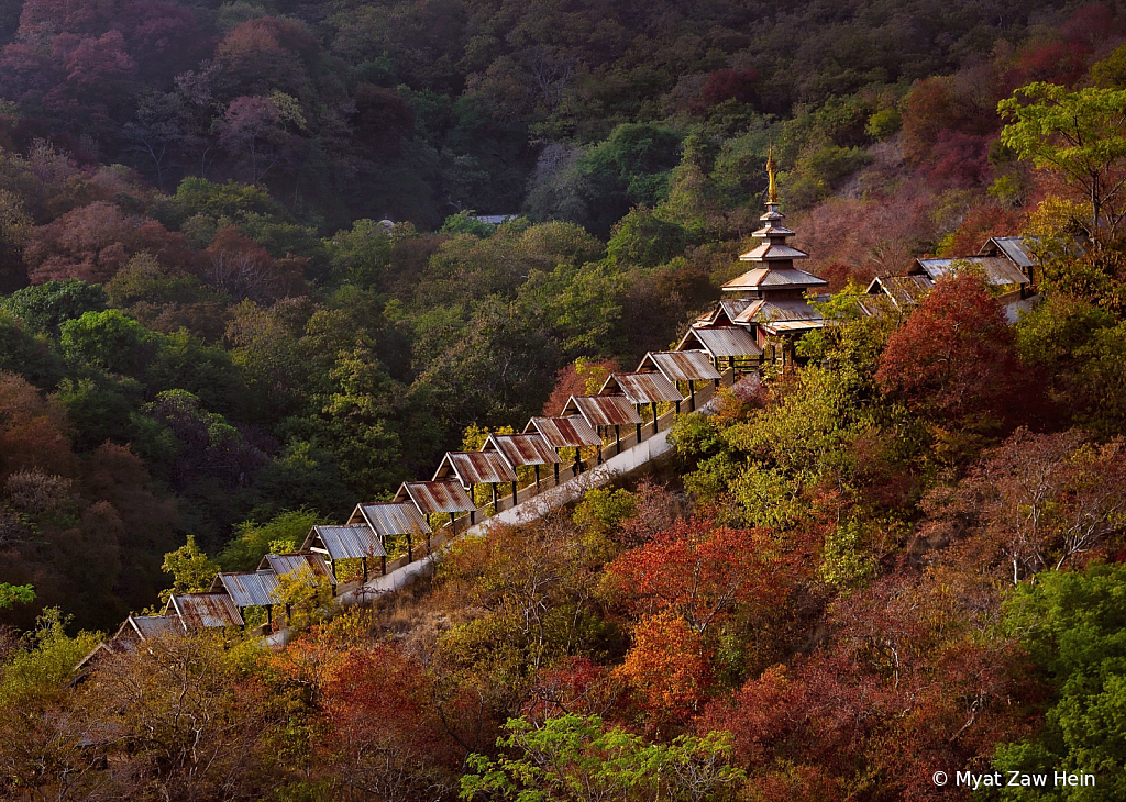 The Way to Pagoda