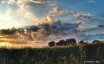 Heavenly Landscap...