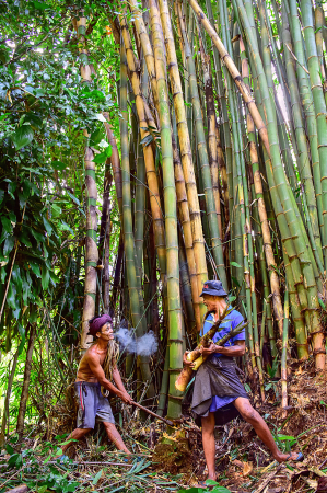 Bamboo Cutters