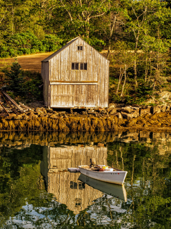 Timeless Maine