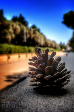 ~ ~ PINE CONE CENTERPIECE ~ ~ 