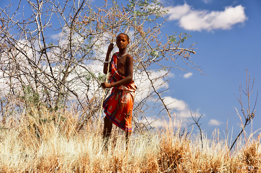 young Maasai