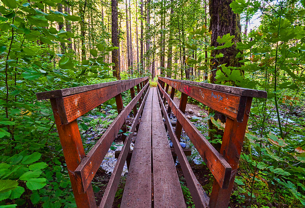 Wooden Bridge