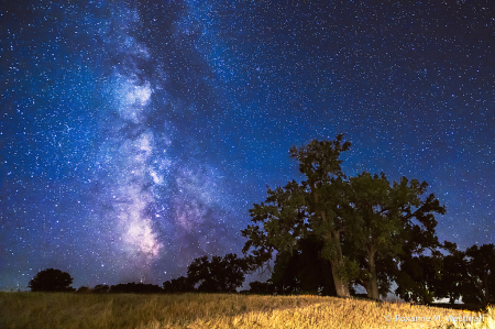 Milky Way in the Sheyenne Natnl grasslands