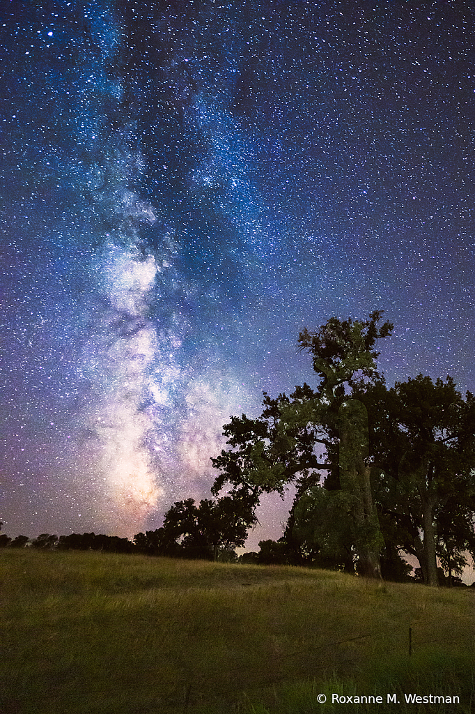 Milky Way in the grasslands vertical - ID: 16020935 © Roxanne M. Westman