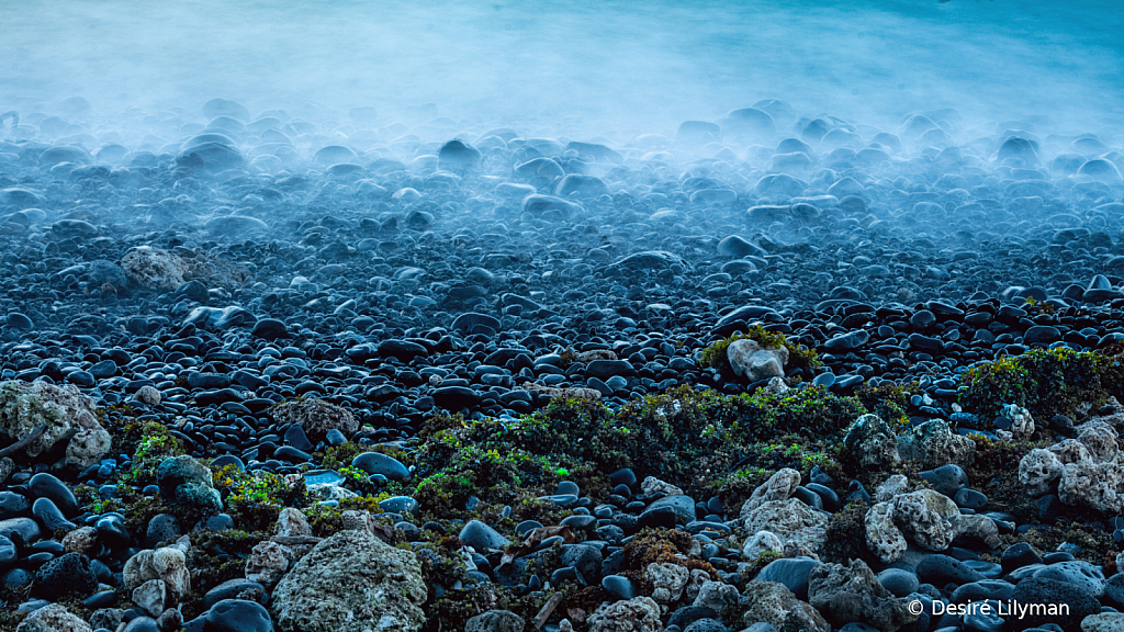 Pebbles and Moss