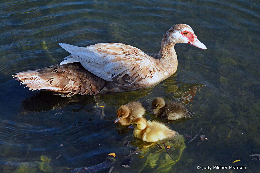 under mama's loving watch......