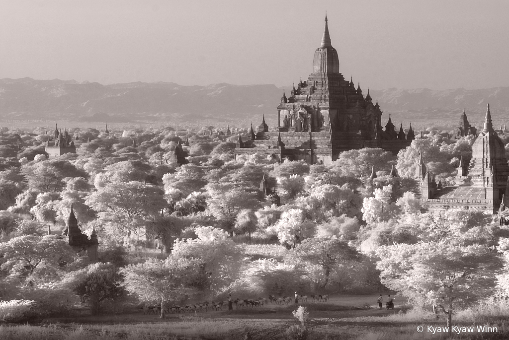 View of Bagan