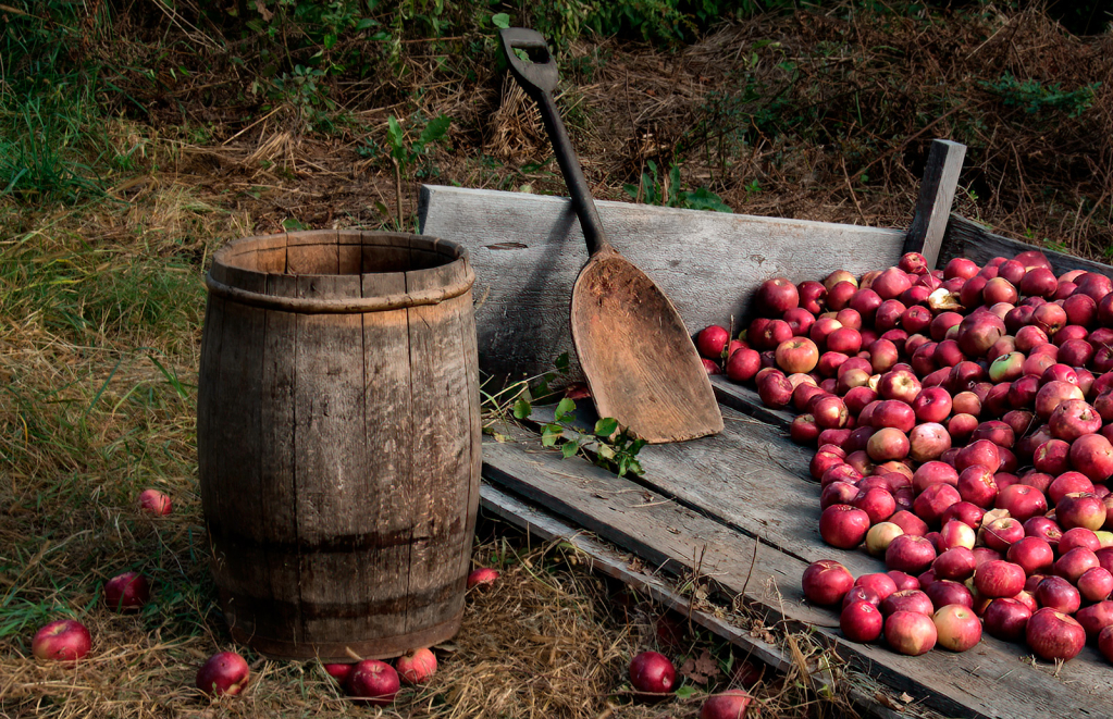 'Them Apples'