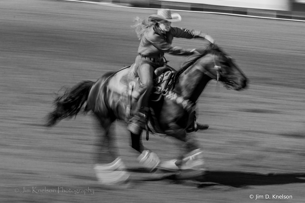 Rodeo 19371 - ID: 16021543 © Jim D. Knelson