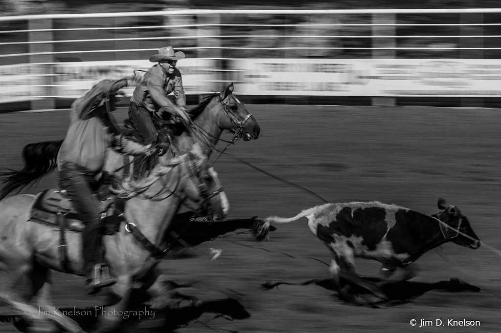 Rodeo 20071 - ID: 16021550 © Jim D. Knelson