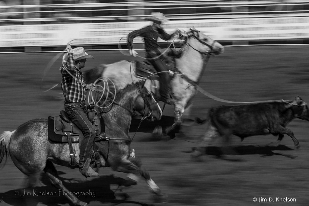 Rodeo 20271 - ID: 16021551 © Jim D. Knelson