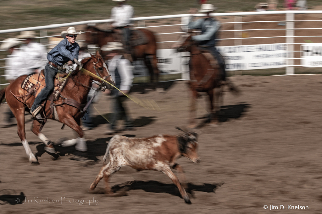 Rodeo 20341 - ID: 16021552 © Jim D. Knelson