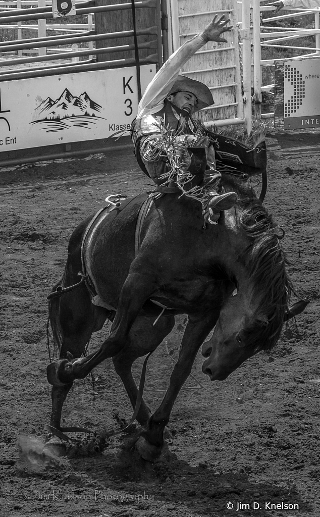 Rodeo 14911 - ID: 16021556 © Jim D. Knelson