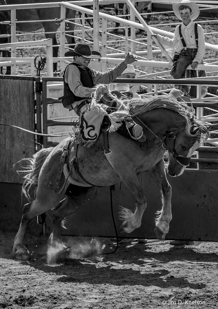 Rodeo 15971 - ID: 16021561 © Jim D. Knelson