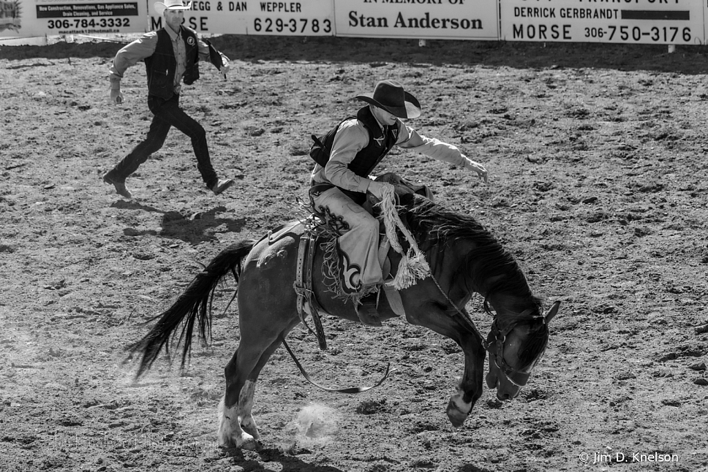 Rodeo 16991 - ID: 16021564 © Jim D. Knelson