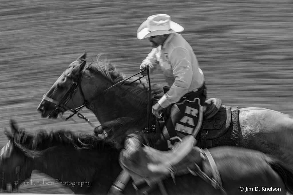 Rodeo 17341 - ID: 16021566 © Jim D. Knelson