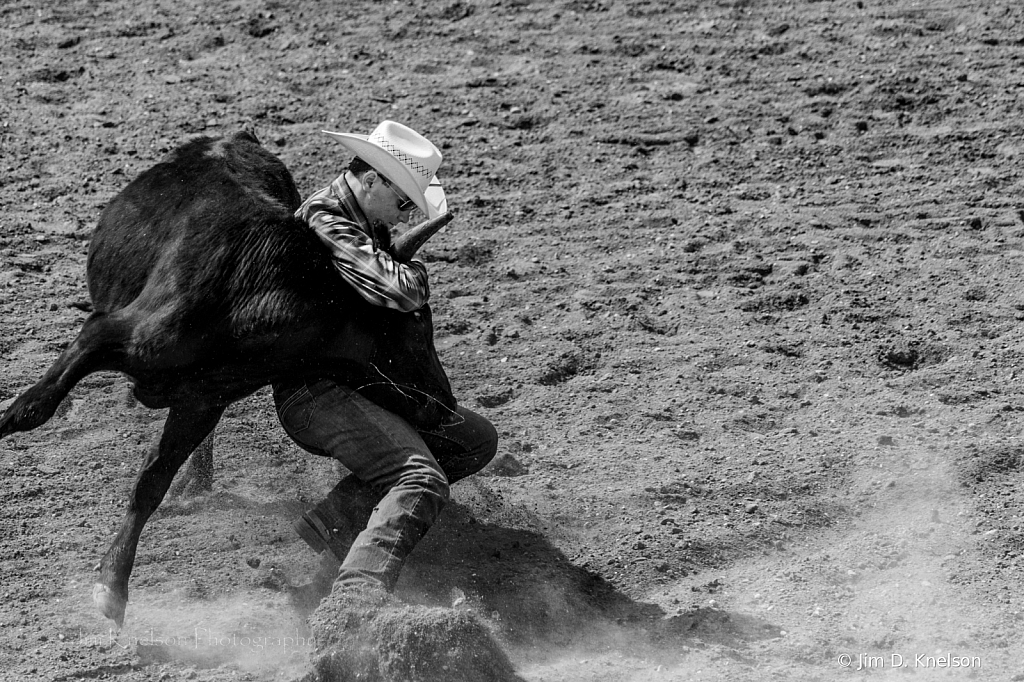 Rodeo 17471 - ID: 16021569 © Jim D. Knelson