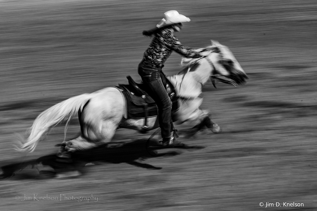 Herbert Rodeo 19001 - ID: 16021576 © Jim D. Knelson