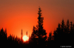 Pillar of Fire