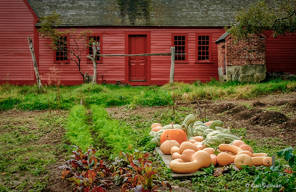 Harvest