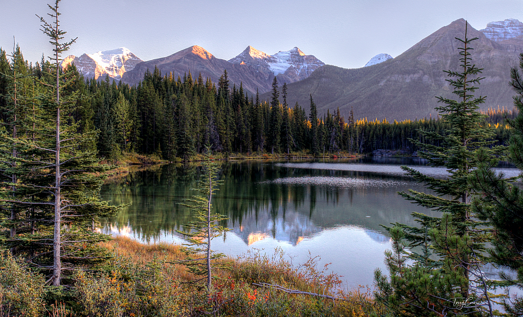 On the Way to Peyto Lake