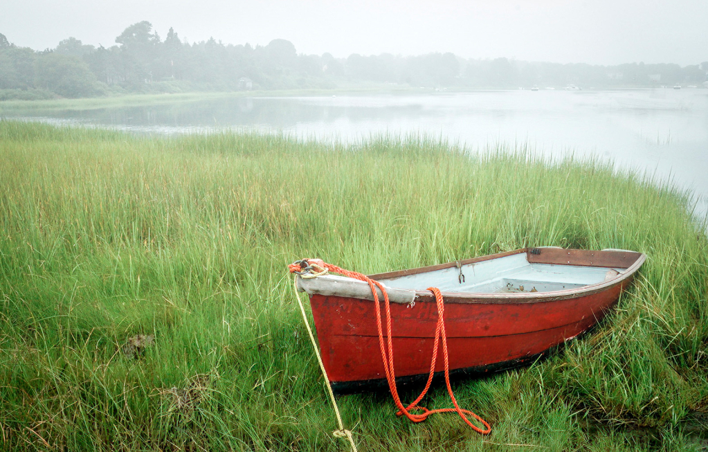 Dory in the Fog