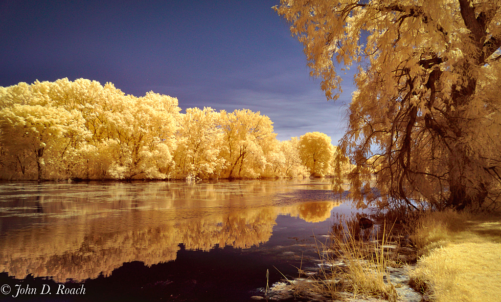 Reflections at the Lagoon - ID: 16022063 © John D. Roach