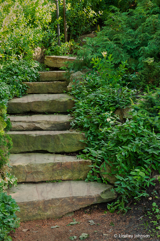 Garden Steps