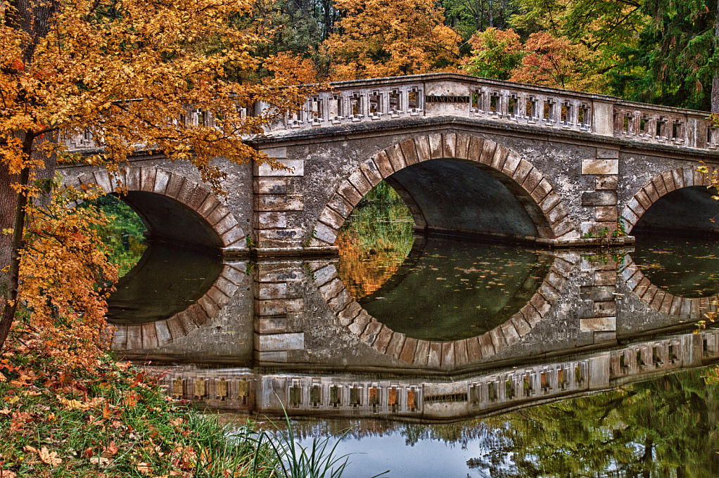 Fall Reflections