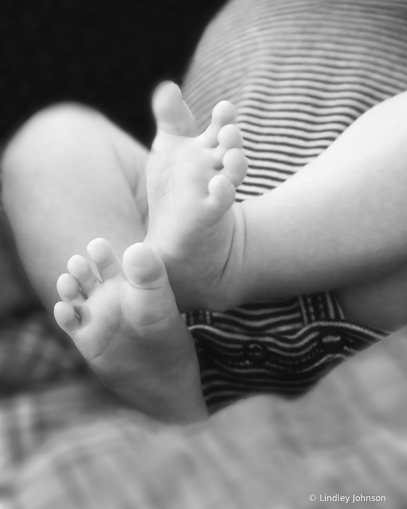 Baby Feet