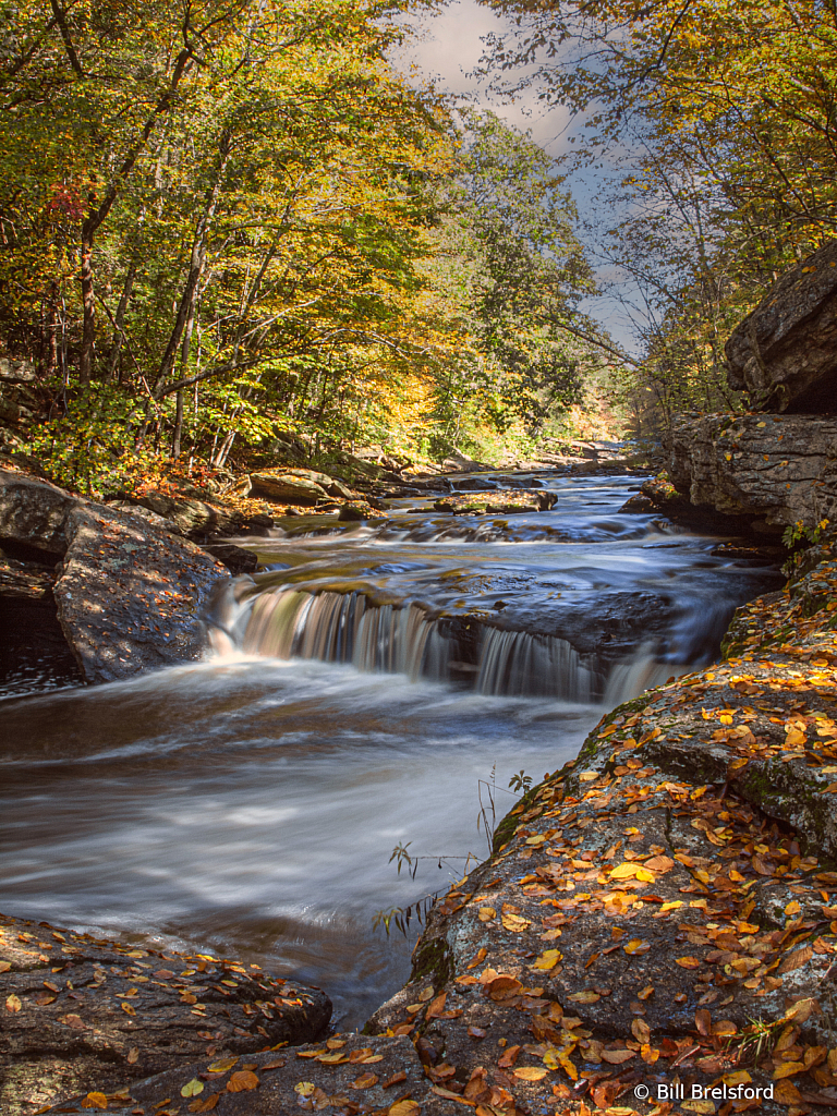 Touch of Autumn