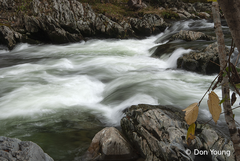 Smoky Mountain Stream - ID: 16022803 © Don Young