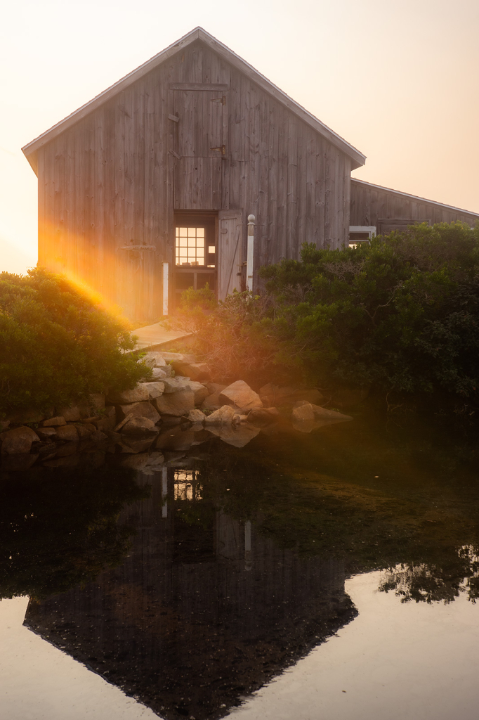 Morning Light