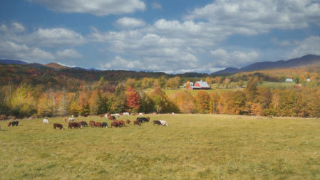 Vermont Countryside