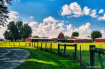 Farm 21