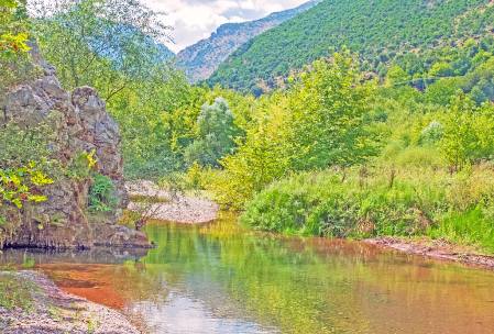 Serenity at the brook.